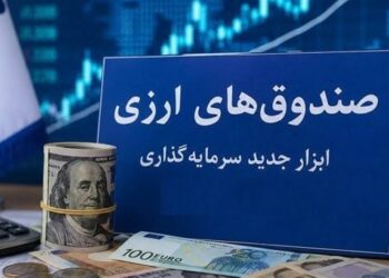 جذب ارزهای راکد مردمی در صندوق‌های ارزی برای 5 سالِ کشور کافی است