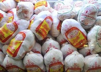 خرید حمایتی مرغ با قیمت 335 هزار تومان آغاز شد